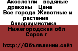 Аксолотли / водяные драконы › Цена ­ 500 - Все города Животные и растения » Аквариумистика   . Нижегородская обл.,Саров г.